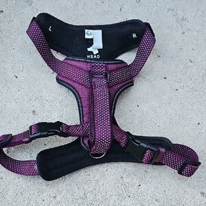 Head Purple Dog Harness
